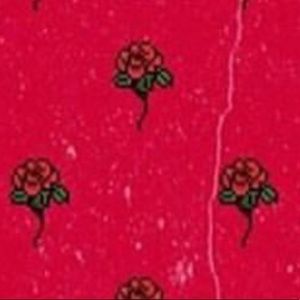 Meet your Posher, Nyssa